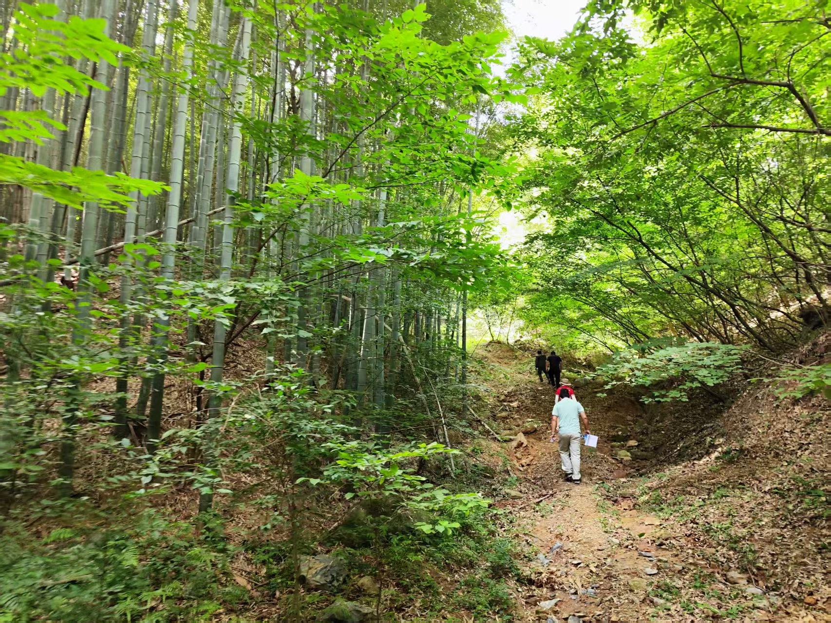 野外踏勘.jpg