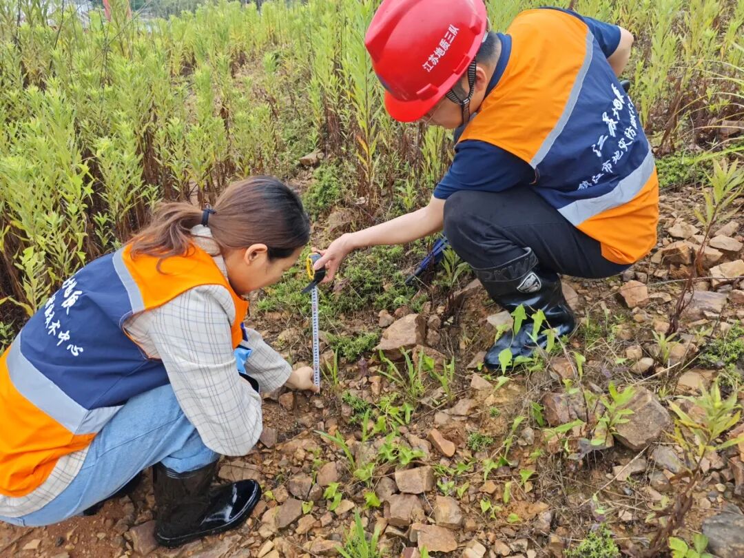 丁丽萍.jpg